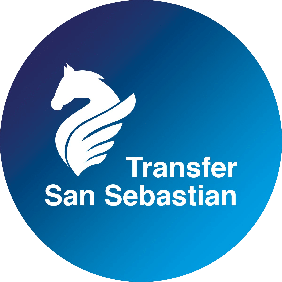 Transfer San Sebastian Icon